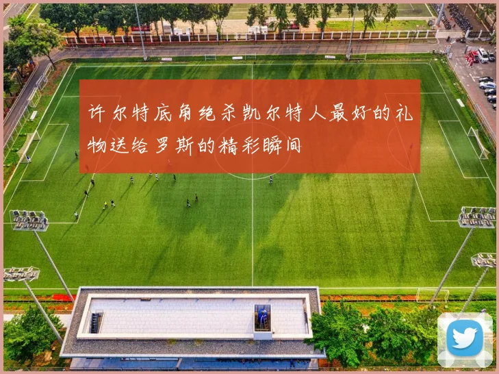 许尔特底角绝杀凯尔特人最好的礼物送给罗斯的精彩瞬间